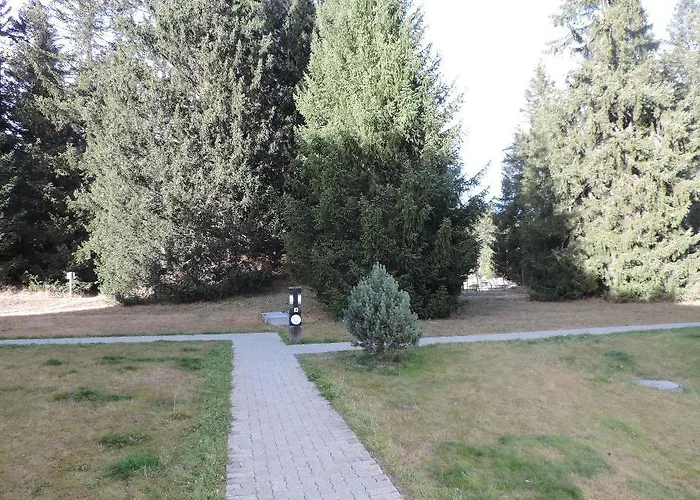 Seegarten B Apartman *